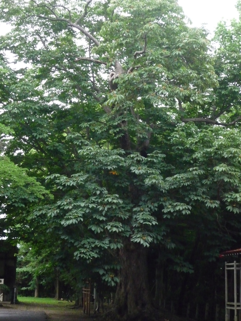 b0238249_19562137.jpg
