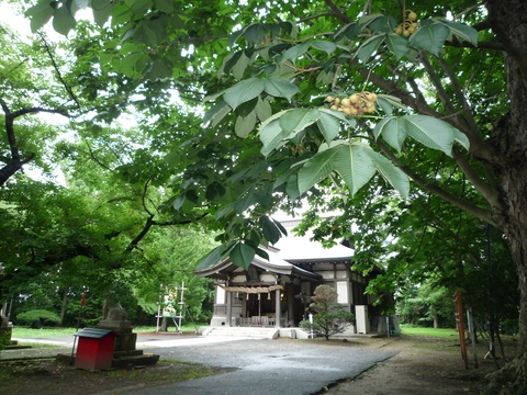 b0238249_19582834.jpg