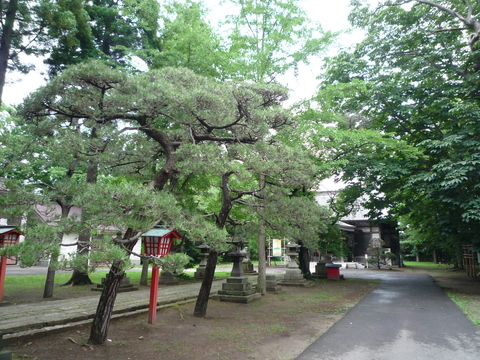 b0238249_201247100.jpg