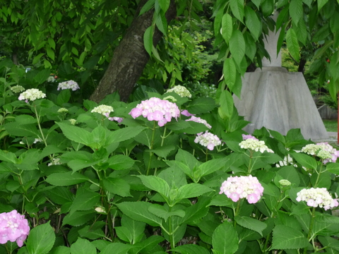 b0238249_20141688.jpg