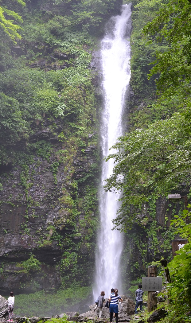 a0055650_823656.jpg