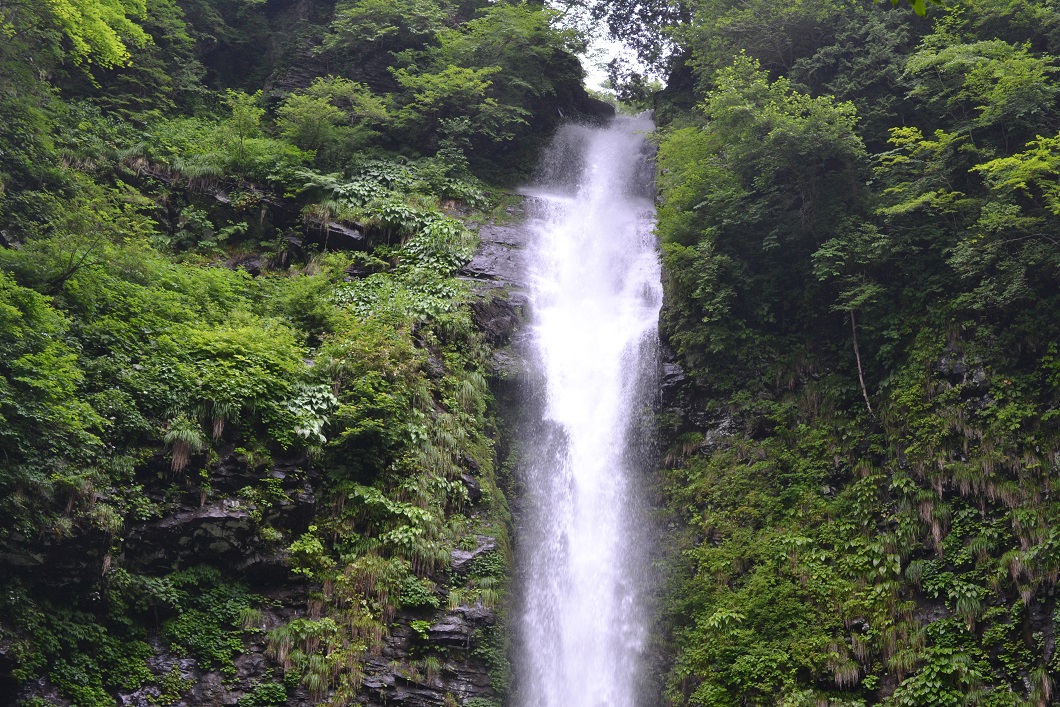 a0055650_8482567.jpg