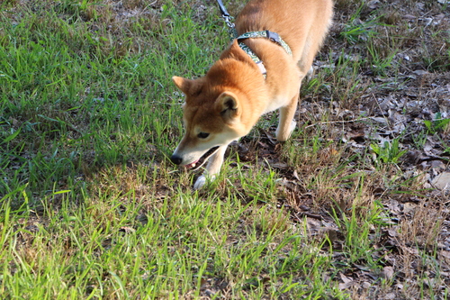 f0245650_7501682.jpg