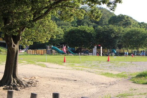 f0245650_7553843.jpg
