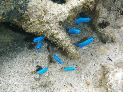 c0180460_1124739.jpg