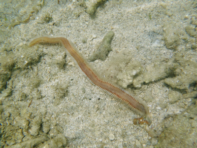 c0180460_113277.jpg