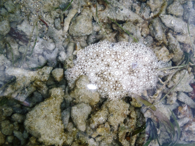 c0180460_1135255.jpg