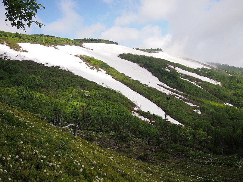 b0281366_12114114.jpg