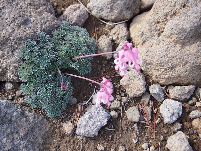 b0281366_12395764.jpg