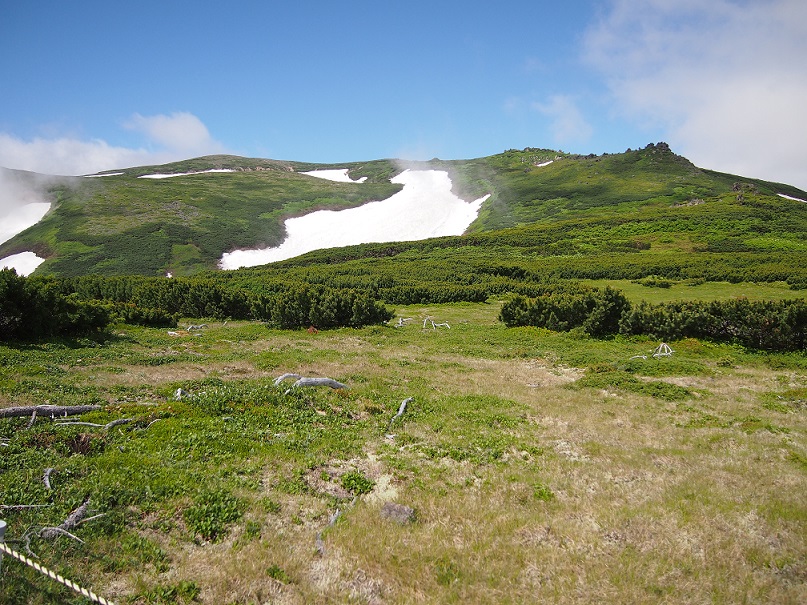 b0281366_1241545.jpg