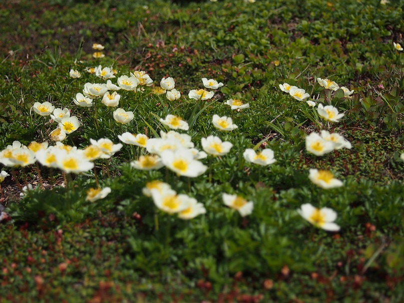 b0281366_12462132.jpg