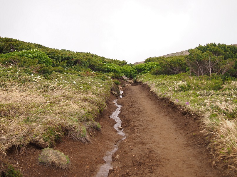 b0281366_12534145.jpg