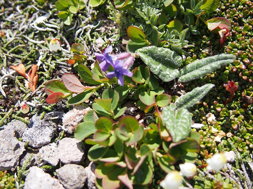 b0281366_13212735.jpg