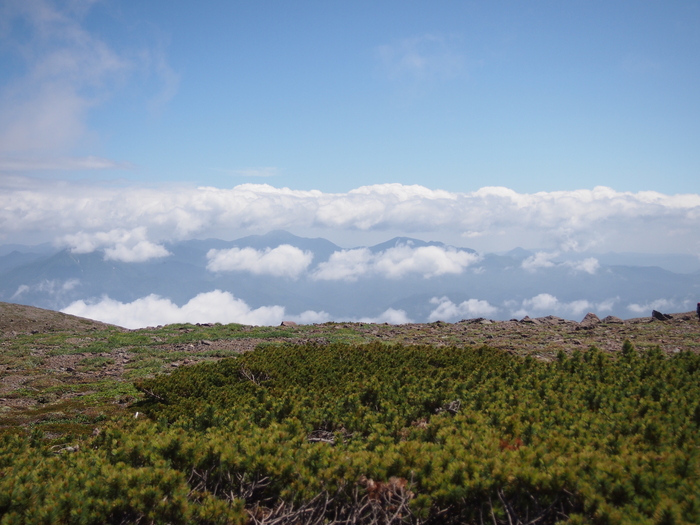 b0281366_13215136.jpg