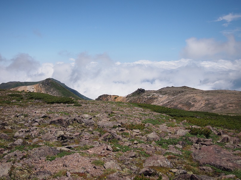 b0281366_13233842.jpg