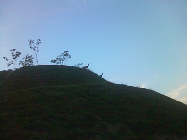 f0061067_20463126.jpg