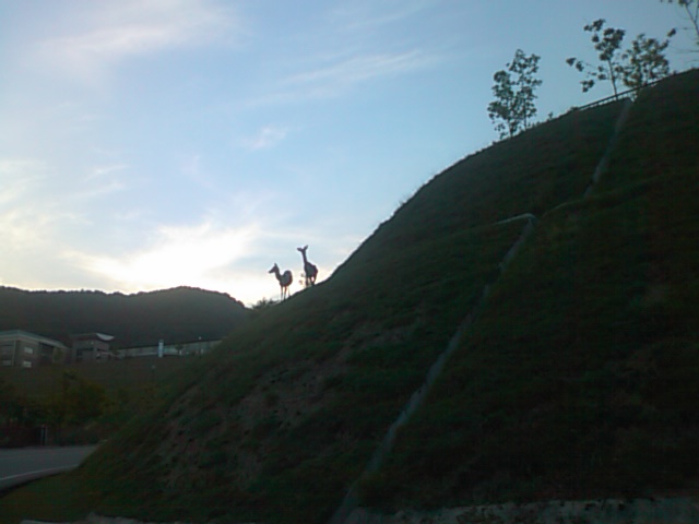 f0061067_2046317.jpg