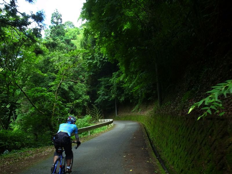 7月7日 秦野、寄 里山ライド by 大江戸三昧！_a0232368_825380.jpg