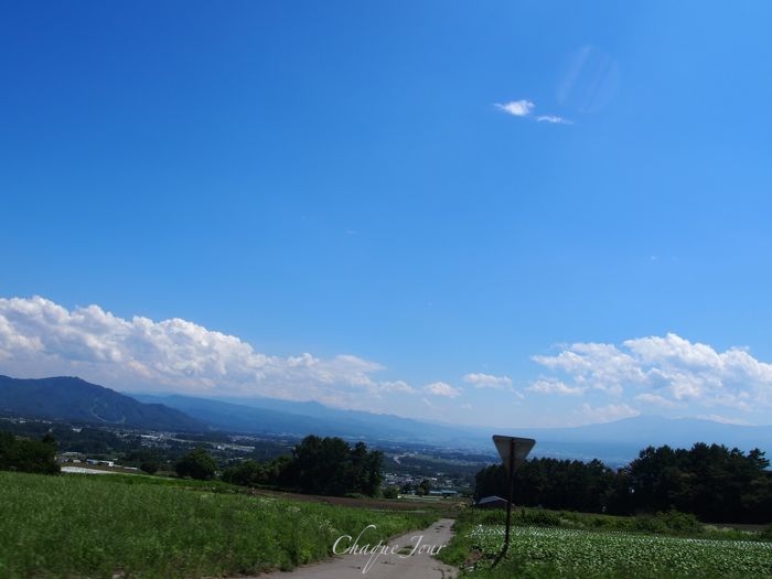 d0266681_040288.jpg