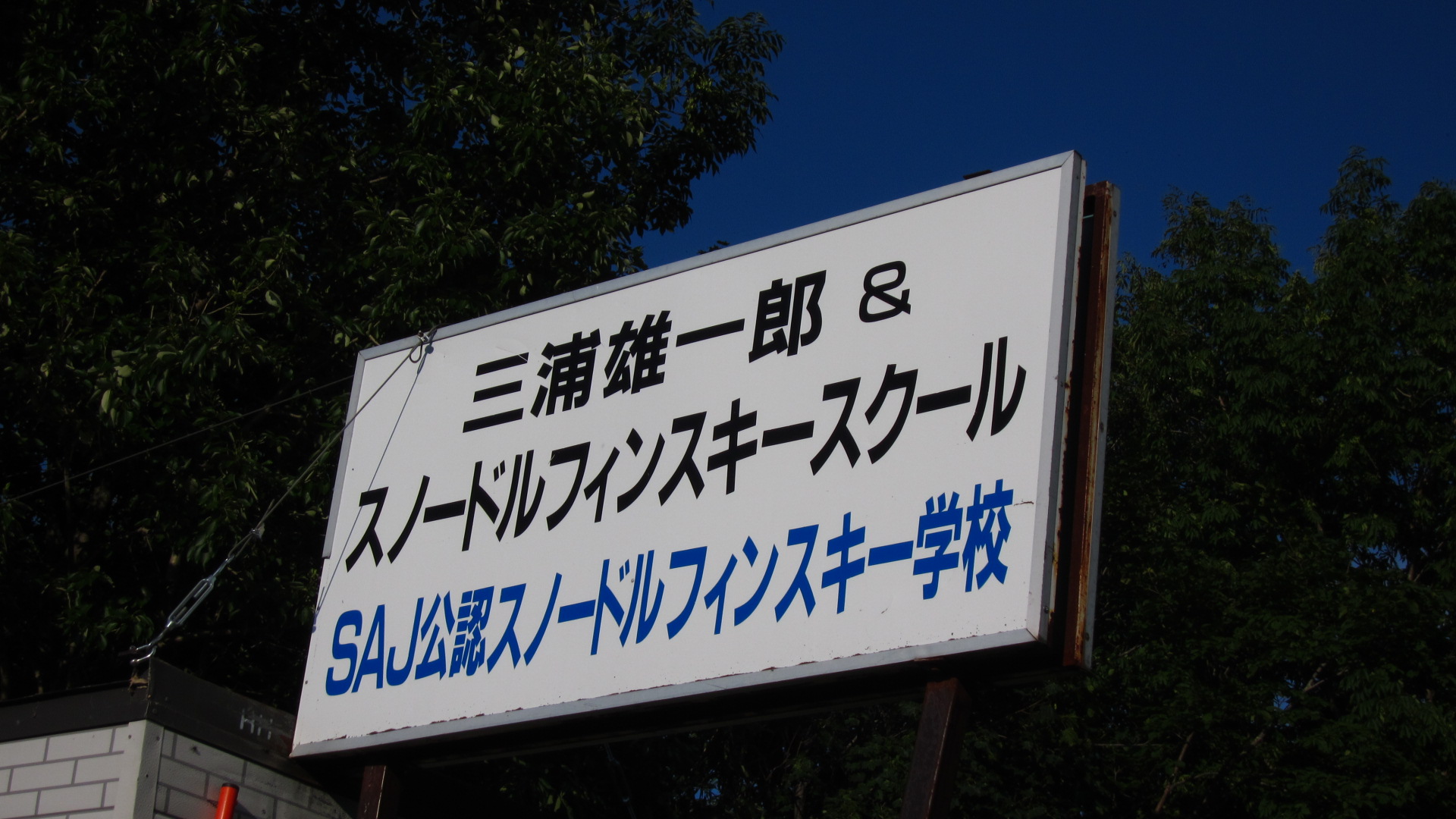 a0242984_2253197.jpg
