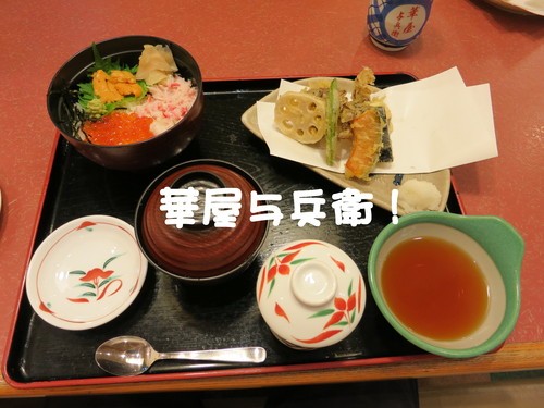 ブルーベリー収穫したったｗｗｗ_b0200291_22291871.jpg