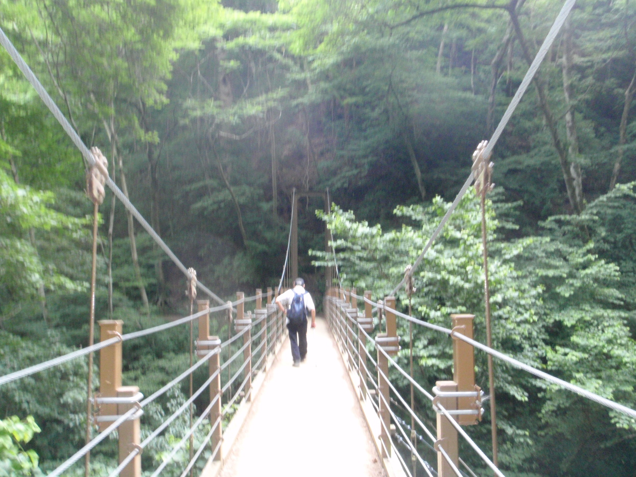 高尾から高尾山口、稲荷山コース城山蛇滝へ_d0034291_11172190.jpg