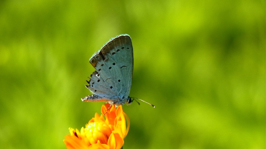 a0152692_18115152.jpg