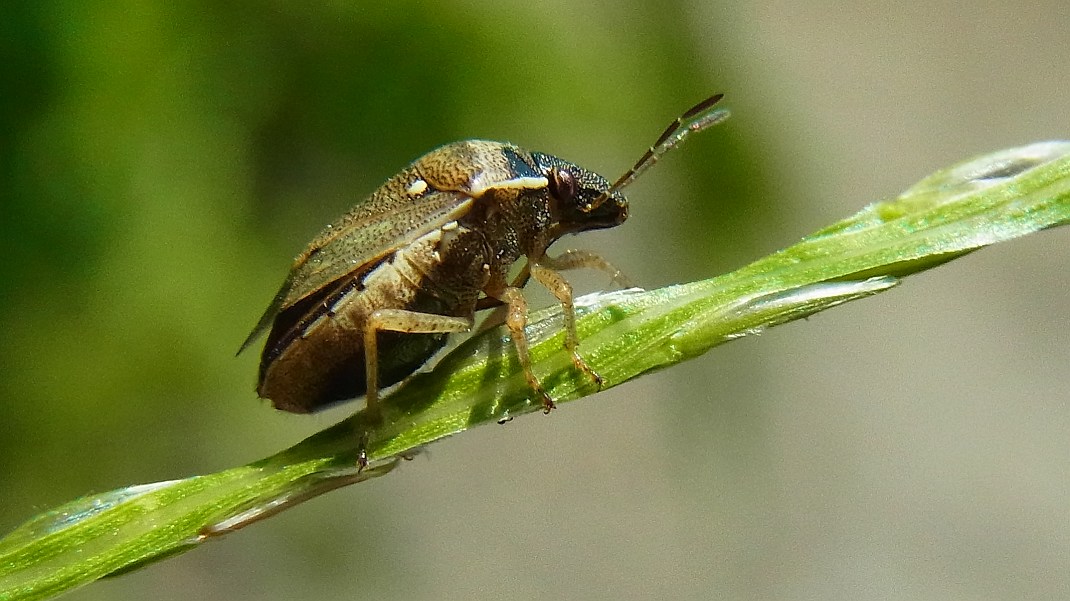 a0152692_1845947.jpg