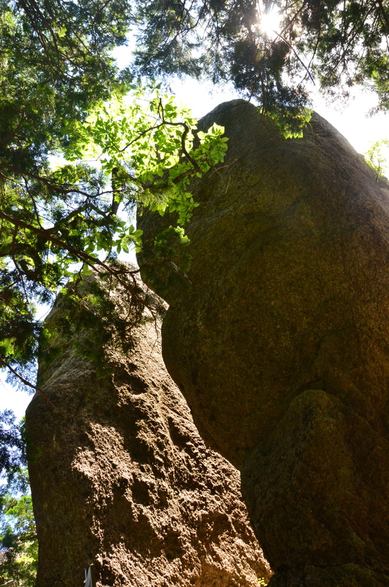 御在所岳〜!_e0111396_1333811.jpg