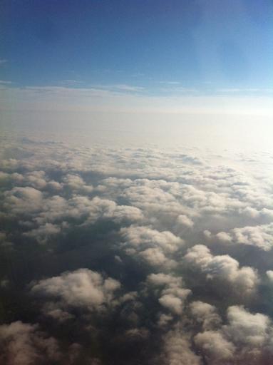 a0063997_17462577.jpg