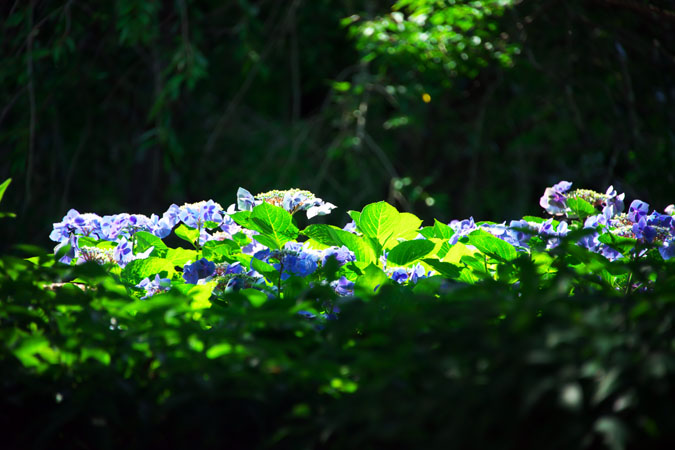 a0263109_1032019.jpg