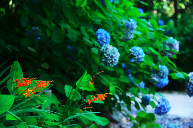 a0263109_104238.jpg