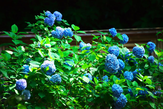 a0263109_1045720.jpg