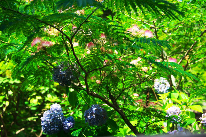 a0263109_1051413.jpg