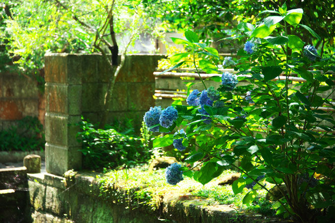 a0263109_1052431.jpg