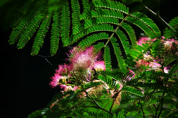 a0263109_105564.jpg
