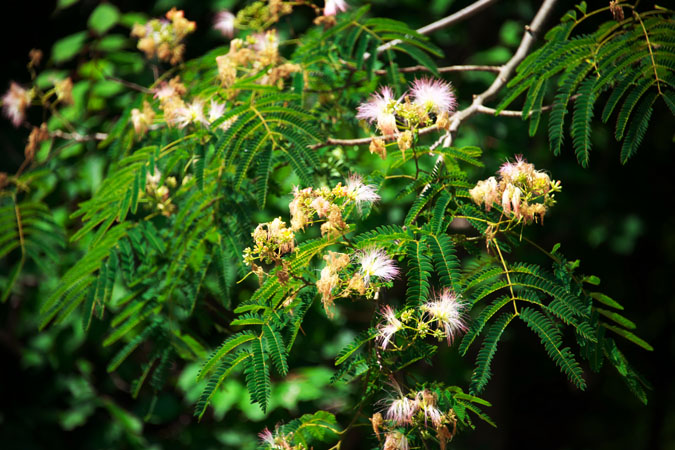 a0263109_9503272.jpg
