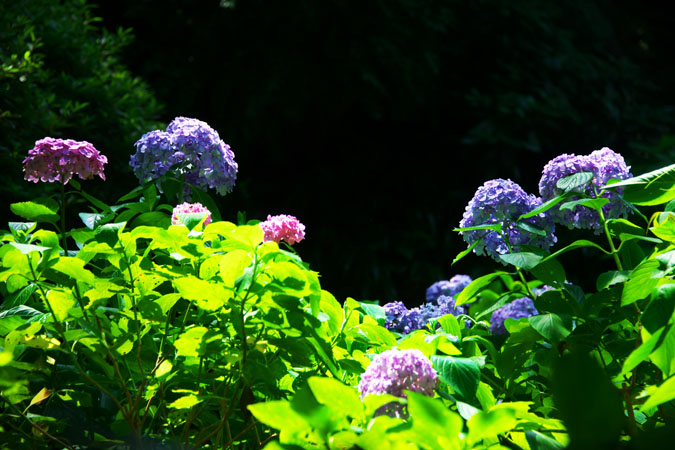 a0263109_952647.jpg