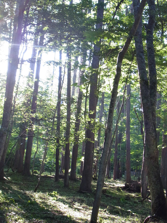 b0093110_21442413.jpg