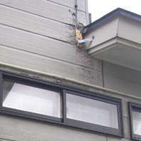 b0184723_14204285.jpg