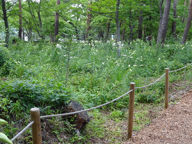 c0141223_1831246.jpg