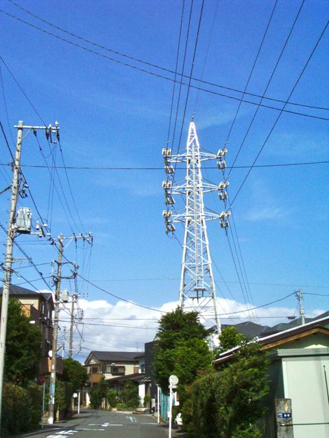 a0136725_3491183.jpg
