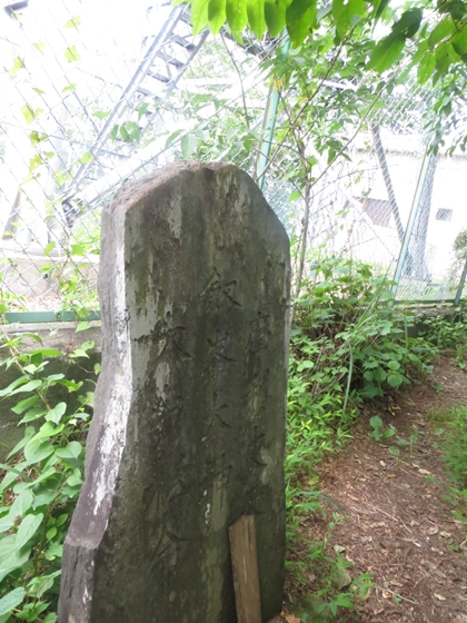 f0040525_20564114.jpg
