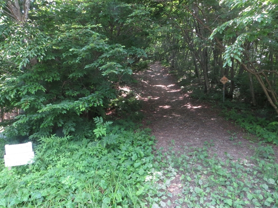 f0040525_2056470.jpg