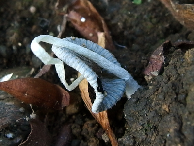 f0108133_13152569.jpg