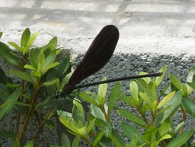 f0108133_13545227.jpg