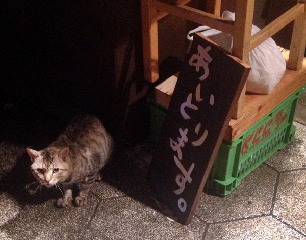 【サケとスミビとロシュタン】旨い肴にお酒とワインな二刀流酒場 ~ウラなんば~_b0206537_15224866.jpg