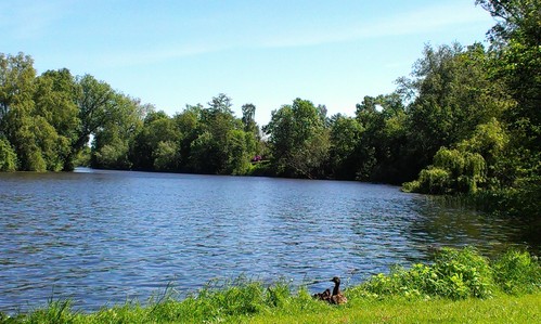 f0210340_46380.jpg