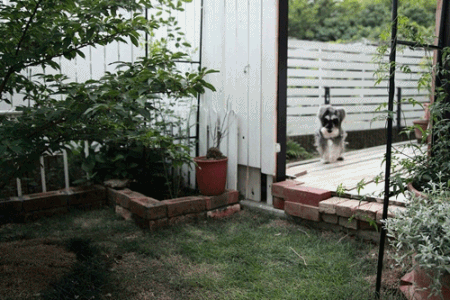 b0115641_14272763.gif