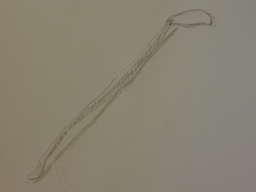 e0225041_1959593.jpg